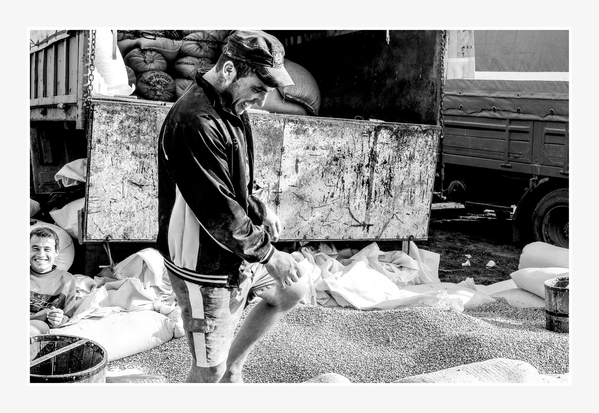 galery image